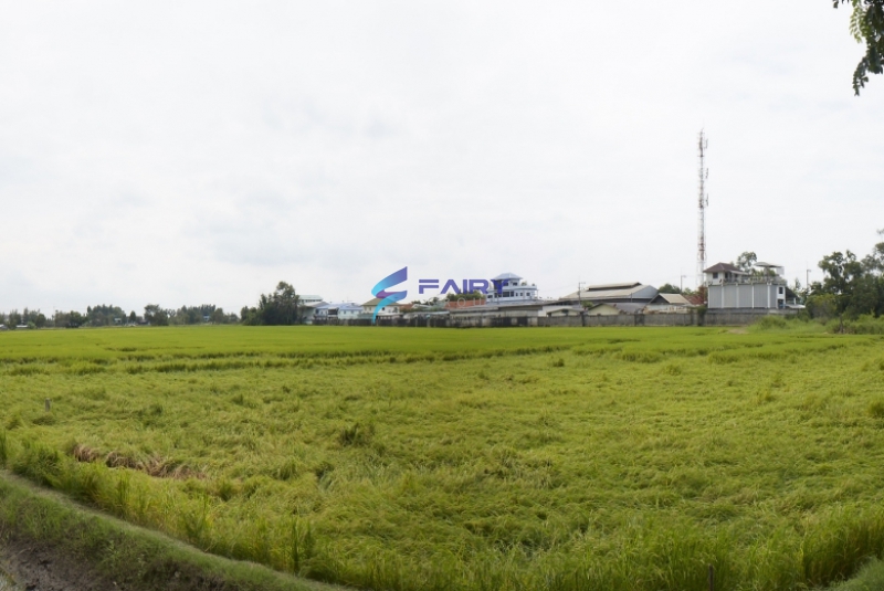 ขายที่ดิน 30-3-59 ไร่ สามโคก ท้ายเกาะ จ.ปทุมธานี