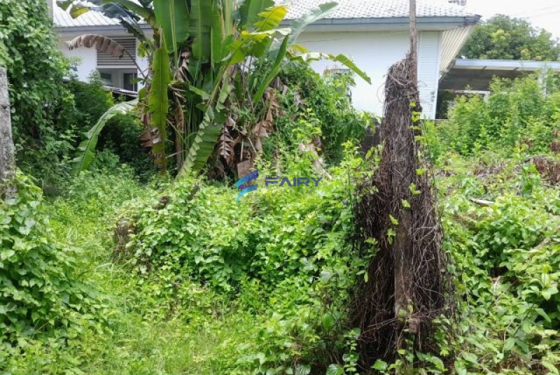 LINE_ALBUM_รูปที่ดิน 33 ตร.ว ซอยวชิรธรรมสาธิต 58_250715_2
