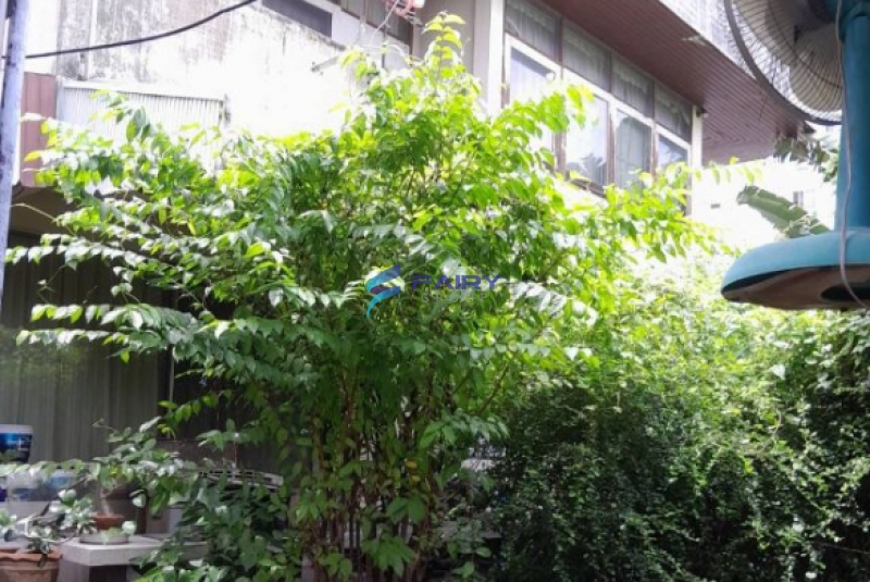 LINE_ALBUM_รูปที่ดิน 33 ตร.ว ซอยวชิรธรรมสาธิต 58_250715_4