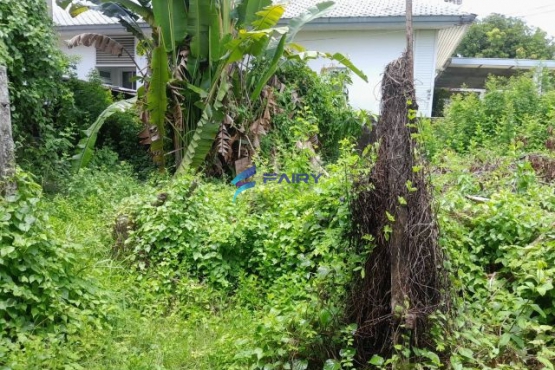 LINE_ALBUM_รูปที่ดิน 33 ตร.ว ซอยวชิรธรรมสาธิต 58_250715_2
